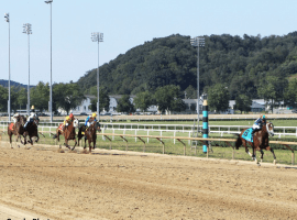 Mr. Money a knockout winner in West Virginia Derby. (Image: Coady Photo)