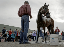 Kentucky Derby favorite Omaha Beach out of the race due to breathing issue.