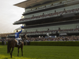 Champion winx and jockey Hugh Bowman salute the crowd at Royal Randwick after her final race.