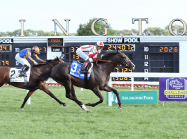 Bricks and Mortar, Iran Ortiz, Jr. up, coast home the easiest kind of winner in the Arlington Million ( Coady Photography/Arlington Park)