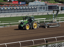 Heavy equipment renovating the racing surface at Santa Anita Park. (Image: AP/Damian Dovarganes)