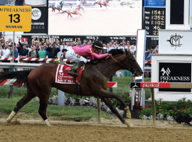 "Wow" horse War of Will scampers home a winner in 144th Preakness Stakes. (image:AP)