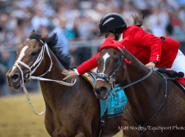 Kaymarie Kreidel and Witch  Hunter make the "catch" after Preakness Stakes at Pimlico. (Image: