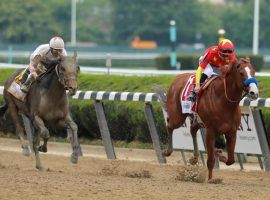 Justify became only the third horse in history to win the Triple Crown on Saturday. (Image: Reuters)