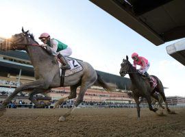 New York racing fans have an undetermined wait to see the Wood Memorial. New York's premier Derby prep was the latest coronavirus casualty.