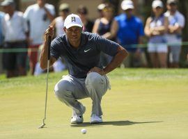 Tiger Woods is playing the next two weeks as he prepares for the Masters. (Image: Getty)