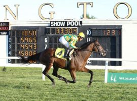 Another Mystery heads an overflow field in the Grade 3 Louisville Stakes, the lone stakes race on this week's Cross Country Pick 5. (Image: Coady Photography)