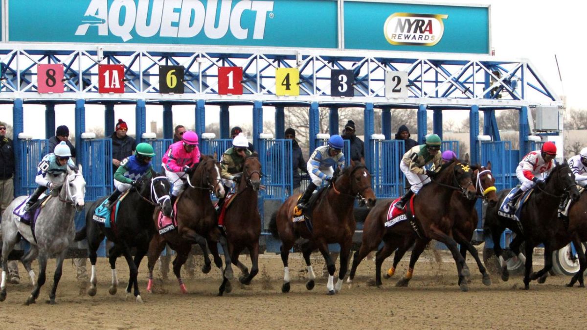 Aqueduct-Fall 2020 Season