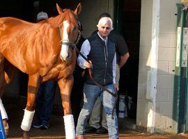 Justify and Hall of Fame trainer Bob Baffert were cleared in a 2019 drug scandal. But Baffert finds himself entangled in another with two horses testing positive in Arkansas. (Image: AP Photo/Garry Jones)