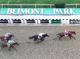 After postponing racing due to the coronavirus, Belmont Park does not have a date for either its spring/summer meet or the Belmont Stakes. (Image: Getty Images)