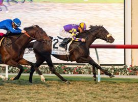 Beyond Brilliant, seen here winning the Hollywood Derby at Del Mar, is one of the favorites in Sunday's Grade 2 Mathis Mile at Santa Anita Park's Opening Day. The Southern California track offers various wagering options to play that race and others. (Image: Benoit Photo)