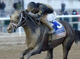 Kendrick Carmouche and Bourbonic pulled off the biggest upset on the Kentucky Derby Trail, capturing Saturday's Wood Memorial at 72/1. (Image: NYRA)