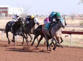 Bye Bye Bobby (5) pulled away in the stretch for a debut victory in last month's Zia Park Juvenile. He gives horseplayers a closer's option in Friday night's Springboard Mile at Remington Park. (Image: Coady Photography)