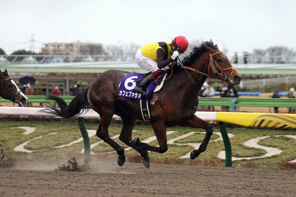 Cafe Pharoah-February Stakes-BC Classic