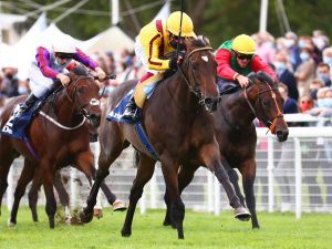 Campanelle-Americans at Ascot