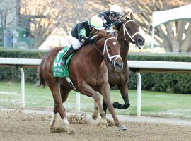 Azeri winner Ce Ce is the 2/1 second favorite in search of her second Apple Blossom Handicap in three years. (Image: Coady Photography)