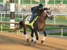 Charge It finished 17th in the 2022 Kentucky Derby. He returns for the first time since that race in Saturday's Grade 3 Dwyer Stakes at Belmont Park. (Image: Coady Photography)