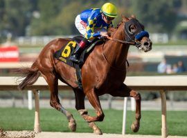 Charlatan hasn't won a stakes race or earned a Kentucky Derby qualifying point. But he is the co-favorite at 5/1 in the latest Kentucky Derby Future Wager pool. (Image: Benoit Photograph)