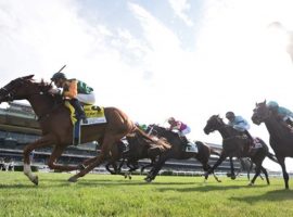 Classic Causeway led this cavalry charge in last month's Belmont Derby. He is one of seven horses from that race in Saturday's Grade 1 Saratoga Derby. (Image: Coglianese Photos)