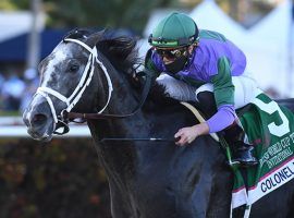 Colonel Liam comes off a 239-day layoff in search of being the only Pegasus World Cup Turf repeat winner. He is the 3/1 favorite for Saturday's $1 million Pegasus Turf. (Image: Derbe Glass)