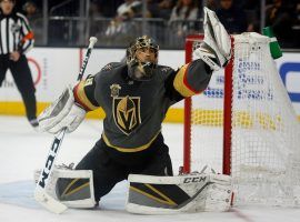 Vegas Golden Knights goalie Marc-Andre Fleury was heroic as the expansion team made an unlikely Stanley Cup run. (Image: TK)