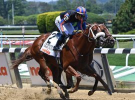 Drain the Clock won last year's Grade 1 Woody Stephens at 7/1. A mainstay of Saffie Joseph Jr.'s barn, he opens his 4-year-old campaign Feb. 5. (Image: NYRA Photo)