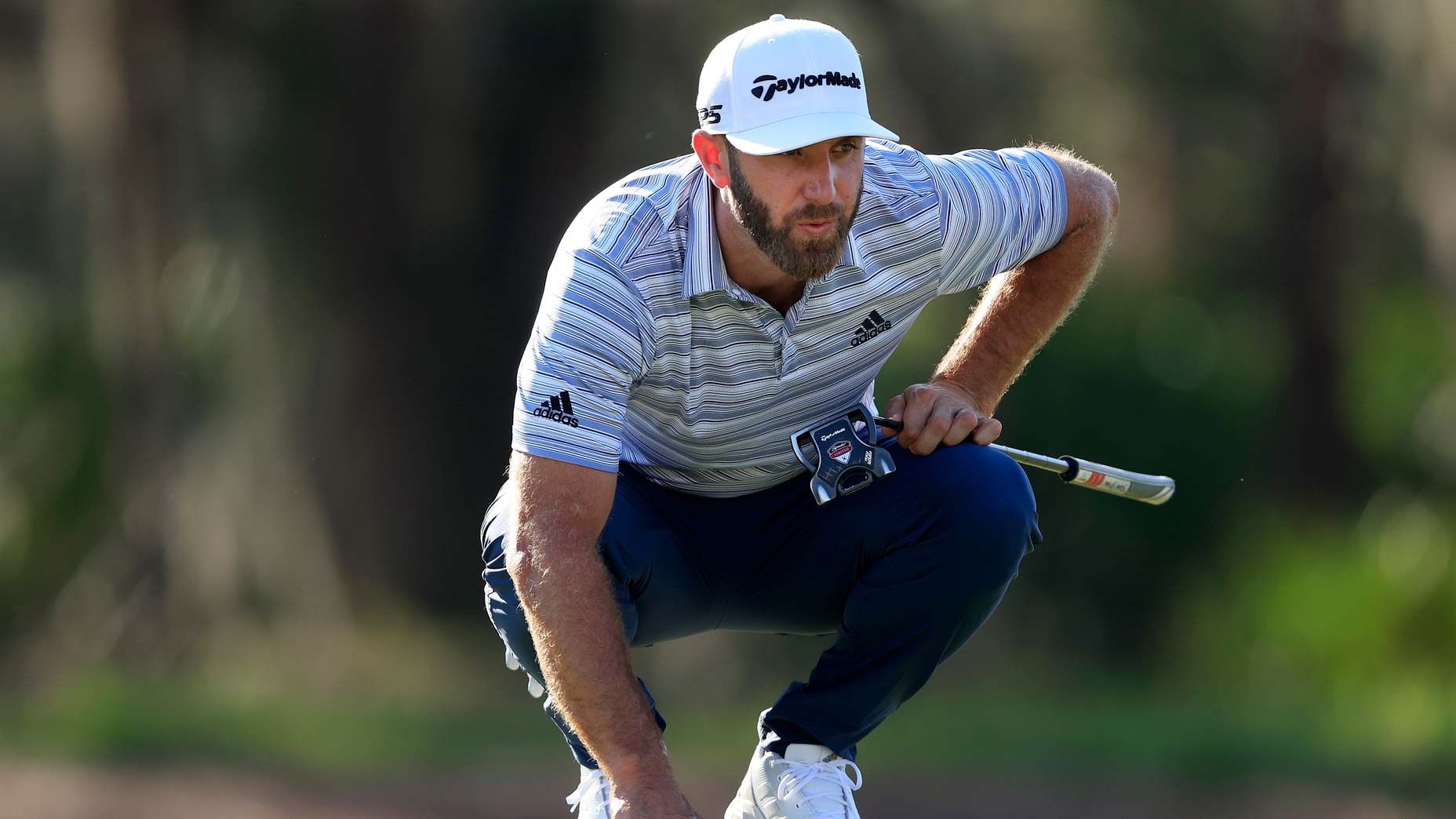 Players Championship Odds Dustin Johnson