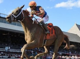 Dynamic One comes into the Grade 2 Suburban off his first victory of 2022. The 4-year-old is sizzling trainer Todd Pletcher's best prospect to grab the conditioner he second Suburban title. (Image: Adam Coglianese/NYRA Photo)