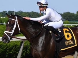 Emmanuel, seen her after winning the Grade 2 Pennine Ridge last month, was scratched from Saturday's Grade 1 Belmont Derby over a medication procedure gaff. Trainer Todd Pletcher was fined $1,000 for the procedure violation. (Image: Coglianese Photos/Susie Raisher)