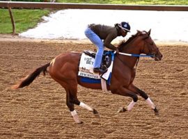 Epicenter hasn't run since finishing second in the Preakness Stakes May 21. He is the 3/2 favorite to win the Grade 2 Jim Dandy Stakes at Saratoga. (Image: Jim McCue/Maryland Jockey Club)