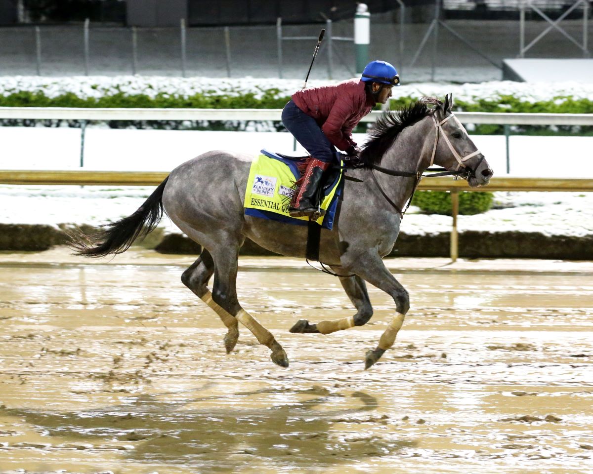 Essential Quality-Preakness pass