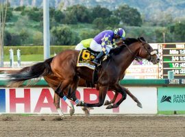 Santa Anita Handicap winner Express Train rides into Saturday's Grade 2 Californian Stakes at Santa Anita Park with a three-race winning streak. (Image: Benoit Photo)