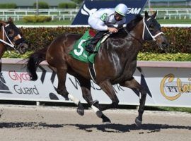 Fearless, shown here winning the Gulfstream Mile, won three of his last four races at Gulfstream. He comes in as one of the horses to beat in Saturday's Grade 3 Harlan's Holiday Stakes. (Image: Lauren King/Coglianese Photos)