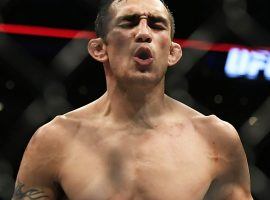 Tony Ferguson may be the interim lightweight champion, but he’ll be an underdog against Khabib Nurmagomedov at UFC 223. (Image: MMAjunkie)