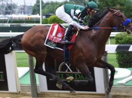 Flightline soared to a six-length victory in the Grade 1 Metropolitan Handicap, remaining undefeated and cementing his reputation as the best horse in North America. Image: Susie Raisher)