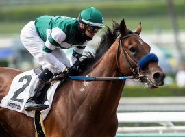 Flightline and Flavien Prat won this maiden debut at Santa Anita by more than 13 lengths. The two figure to draw plenty of money in Sunday's Grade 1 Malibu Stakes at Santa Anita Park. (Image: Benoit Photo)