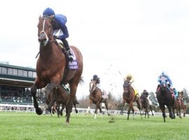 Golden Pal tuned up for his King's Stand duel with Australia's Nature Strip with this romp in April's Grade 3 Shakertown at Keeneland. He and Nature Strip headline Day 1 at Royal Ascot. (Image: Keeneland/Coady Photography)