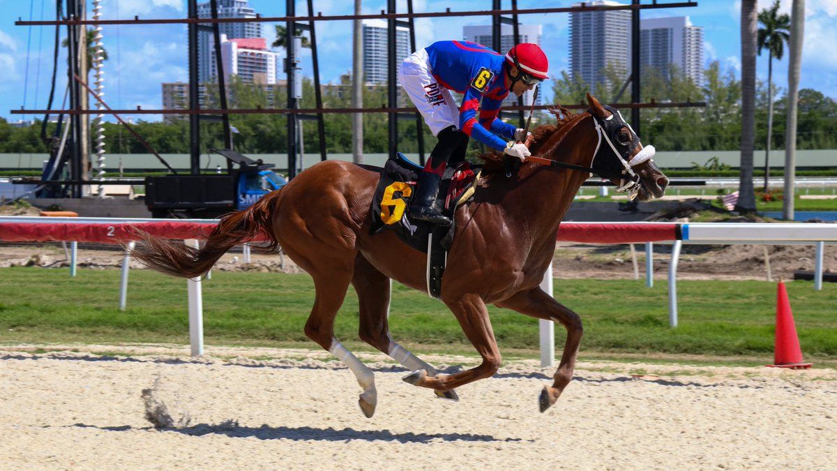 Gulfstream Park-Tapeta