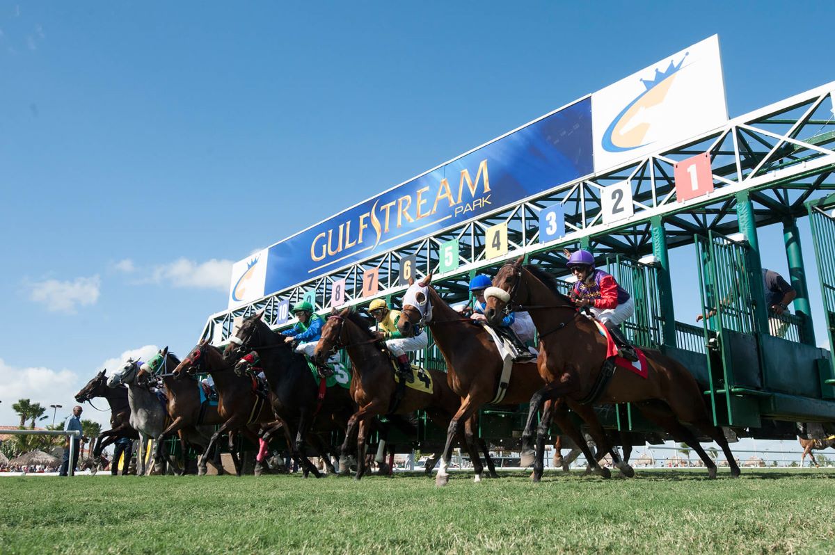 Gulfstream Park-Post Time Drag