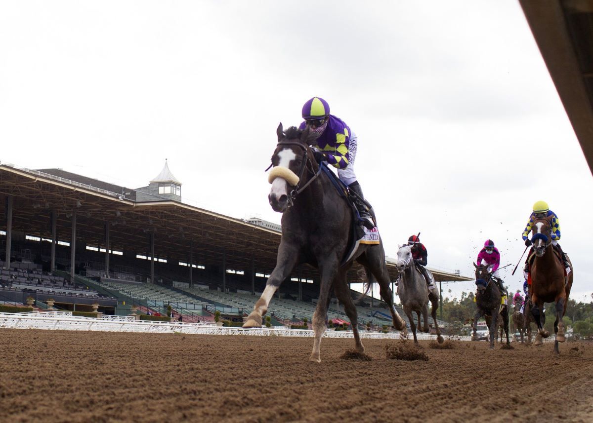 Honor A.P.-Shared Belief