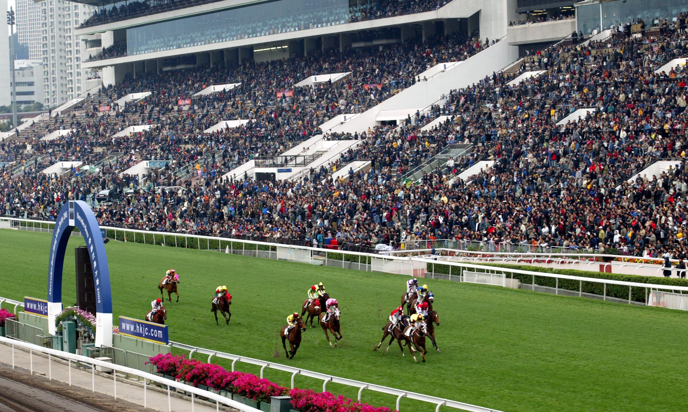 Horse Racing Hainan