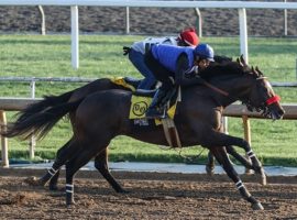 Hot Rod Charlie put in a 1:01.60, five-furlong work last Saturday at Santa Anita Park. He returns for the first time in nearly three months for Saturday's Grade 3 Salvator Mile at Monmouth Park. (Image: Ernie Belmonte)