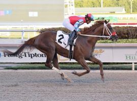 In Due Time, the 3/1 second choice for Saturday's Grade 3 Lexington Stakes, needs a win to put himself in the mix for a Kentucky Derby berth. The Lexington is the final stage for the 2022 Kentucky Derby trail. (Image: Coglianese Photos/Lauren King