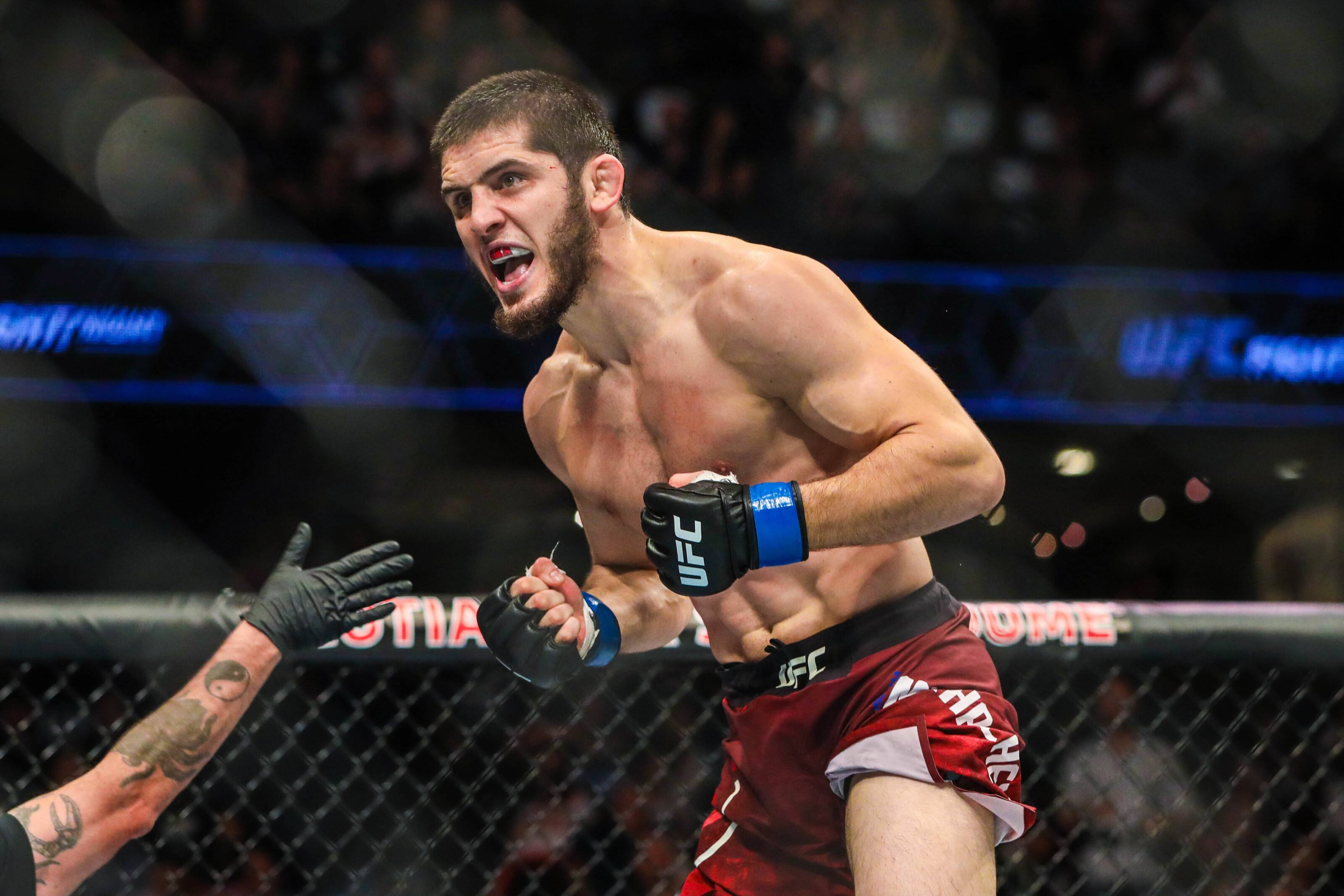 Makhachev Green odds UFC