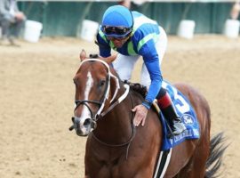 Jackie's Warrior won his fourth Grade 1 race with this May score in the Churchill Downs. He is the presumed favorite for Friday's Grade 2 True North Stakes in the Belmont Park Racing Festival. (Image: Coady Photography)