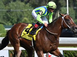 Jackie's Warrior and Joel Rosario made history look easy in Saturday's Grade 1 Alfred G. Vanderbilt Handicap at Saratoga. (Image: JG Photo/NYRA.com)