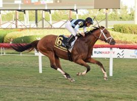 Largent's biggest win to date was this 2020 score in the Grade 2 Fort Lauderdale Stakes. He returns for the first time in nearly a year for the Grade 3 Tropical Turf Stakes at Gulfstream Park. (Image: Lauren King/Coglianese Photos)