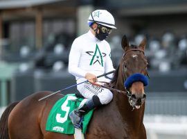 After winning January's Sham Stakes, Life Is Good attempts to follow Authentic's 2020 path to the Kentucky Derby. Like his Bob Baffert-trained forebear did last year, Life Is Good will run next at the Grade 2 San Felipe Stakes. (Image: Benoit Photo)