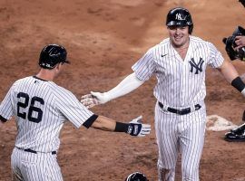 NY Yankees 2B DJ LeMahieu (26) congratulates Luke Voit on a home run at Yankee Stadium. (Image: Getty)