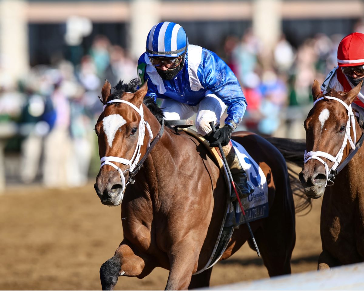 Malathaat-Oaks draw